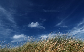 Голубое небо