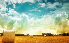 Тюки сена на поле