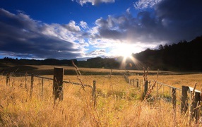 Огороженное поле