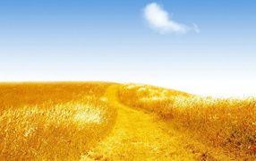 Золотистое поле