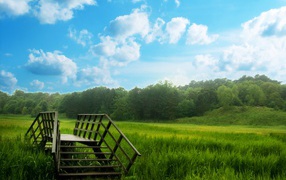 Зеленый мост