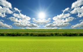 Зеленое поле под лазурным небом