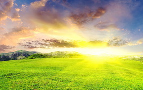 Зеленые луга