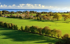 Утро в деревне