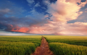 Тропинка через поле