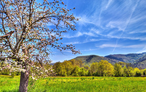 Весенний пейзаж