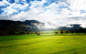 Просторы полей