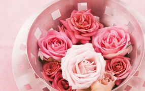 Бутоны роз в вазе