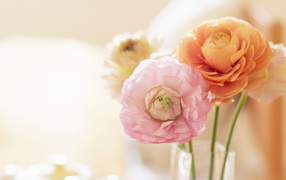 Нежные цветочки в вазе