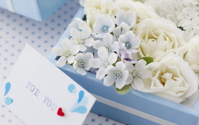 Цветочки в подарок