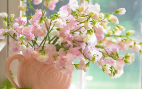 Цветы в розовой вазе