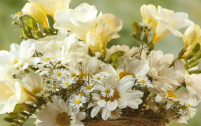 Нежный букет