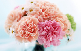 Домашний букет, Цветы