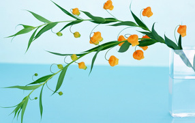 Домашние цветы