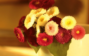 Маленький букетик