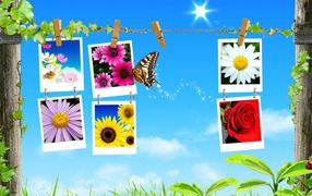 Весенний коллаж