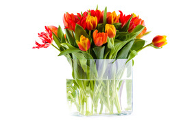 Vase with tulips