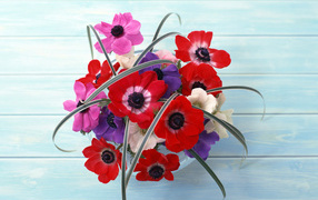 Цветы на стене