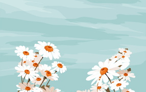 Белые цветы и небо, Цветы