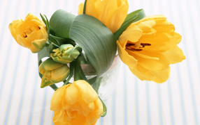 Желтые цветы