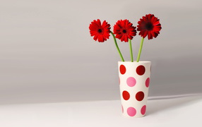 Три герберы