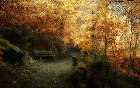 Осенний лес