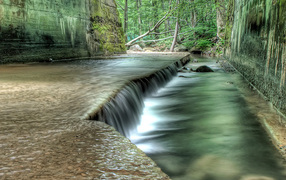 Лесная река