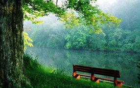 Quiet place near the river