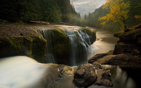 Речка в лесу