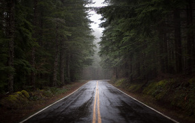 Дорога после дождя