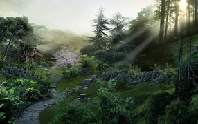 Дорожка в лес