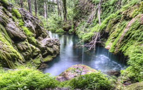 Лес, каменные склоны, ручей