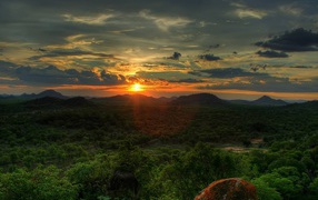 Лес с высоты гор