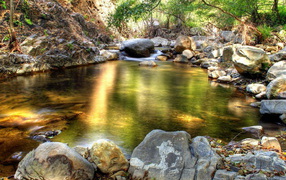 Лесной ручей