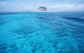 Остров с пальмами