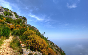 На вершине цветущей скалы