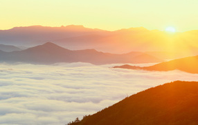 Густой туман