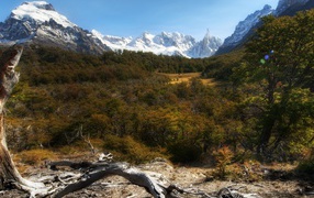 Forest and snow-capped peaks