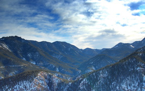 Лес в горах