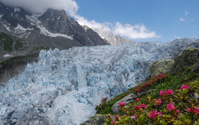 Glaciers in the mountains