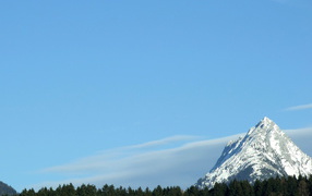 Гора над лесом