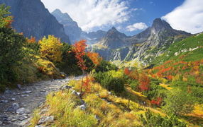 Горная тропа