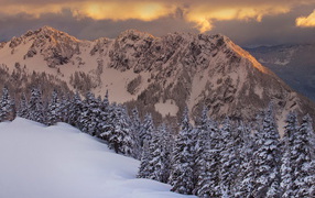 Горная свежесть