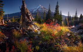 Гора на горизонте