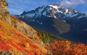 Оранжевый склон