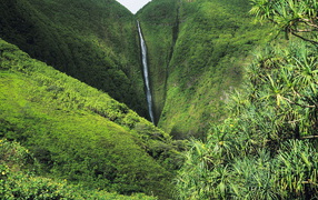 Рай на Земле