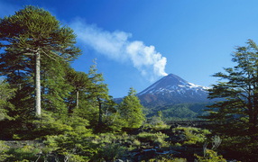 Дымящий вулкан