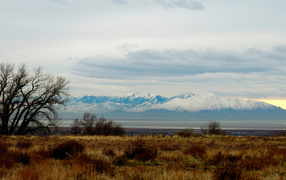 Снежные вершины