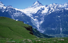 Снежная вершина