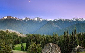 Лес на горных вершинах